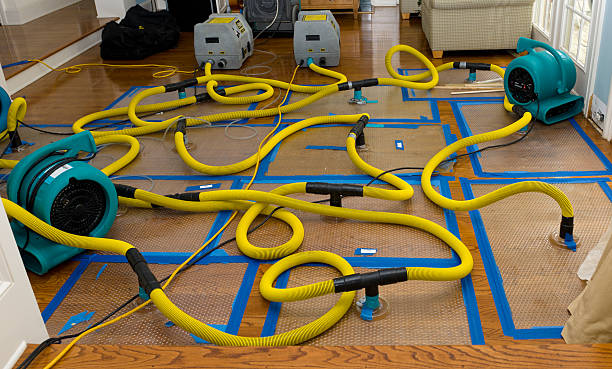 Professional Structural Drying And Dehumidification technician working in Freeport, IL